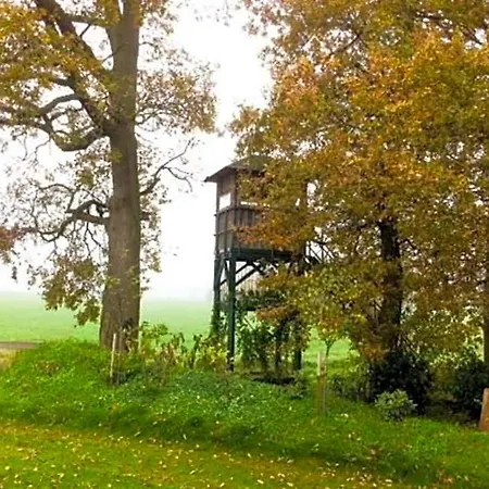 Cozy With Sauna 2* Bad Bentheim